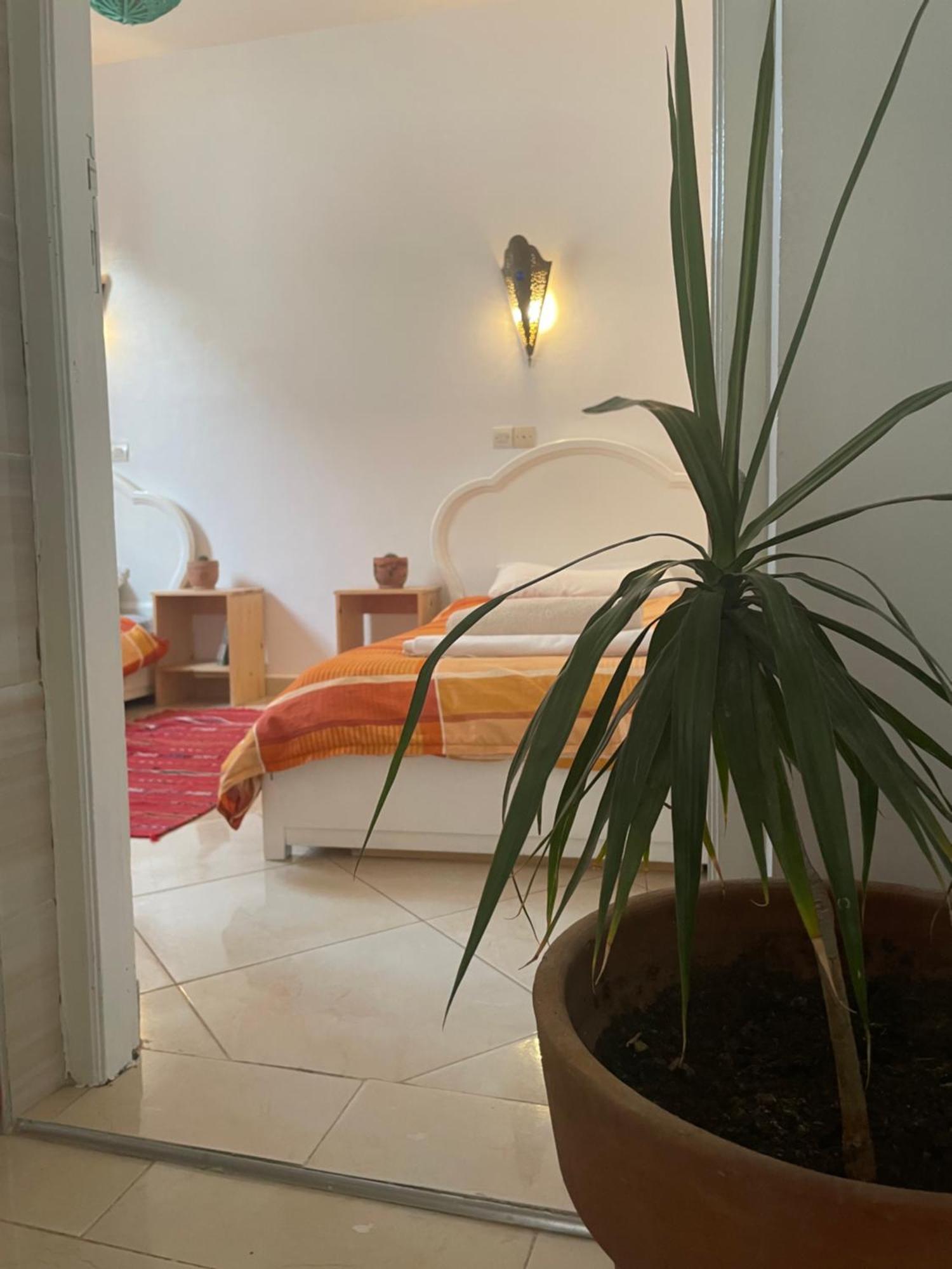 הוסטל טגזוט Cozy Surf House מראה חיצוני תמונה